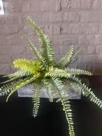 Houteb bakje/ kistje, Ophalen of Verzenden, Zo goed als nieuw, Rond, Hout