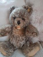 Steiff beer te koop, Ophalen, Stoffen beer, Steiff