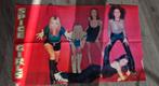 Poster van de Spice girls, Ophalen of Verzenden, Gebruikt