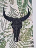 Schedel (gemaakt van kunsthars) - By Boo Ox Skull Black, Ophalen