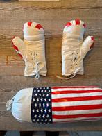 Kickbokshandschoenen met boksbal, Ophalen of Verzenden, Gebruikt, Boksbal