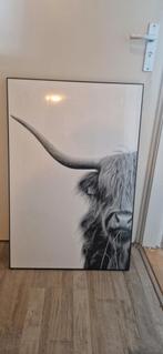 Schilderij Schotse Hooglander, Ophalen of Verzenden, Zo goed als nieuw, Schilderij, 75 cm of meer