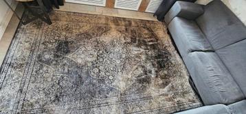 Vloerkleed 200x300 cm
