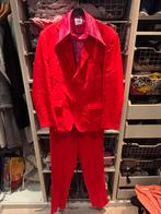 Heren caranavals pak, Ophalen of Verzenden, Zo goed als nieuw, Maat 52/54 (L)