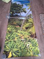 Konmar fotobehang palmboom tropisch, Huis en Inrichting, Ophalen of Verzenden