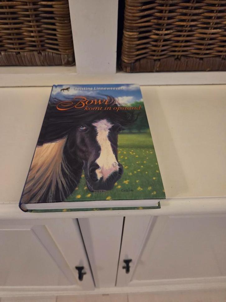 Christine Linneweever - Bowi, Boeken, Kinderboeken | Jeugd | 10 tot 12 jaar, Gelezen, Ophalen of Verzenden