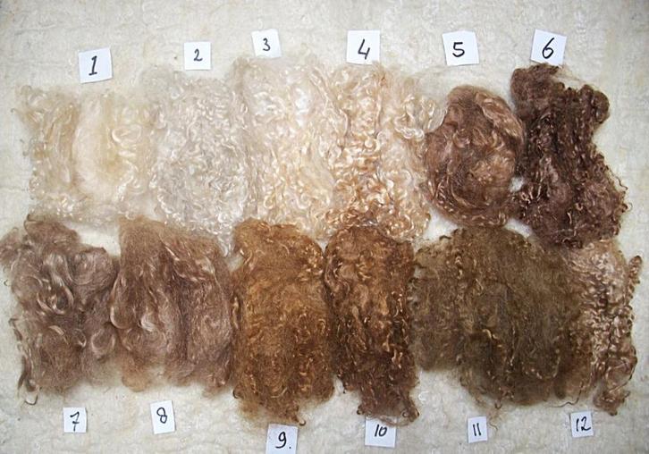 poppenhaar antieke pop baby blythe reborn rooten mohair, Verzamelen, Poppen, Nieuw, Overige typen, Ophalen of Verzenden