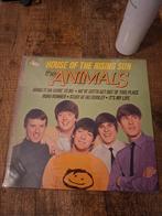 House of the rising sun animals, Ophalen of Verzenden, Gebruikt, Pop