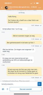 Oplichting kat 1, Tickets en Kaartjes, Eén persoon, Overige typen