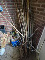 Gratis, bamboe stokken, Tuin en Terras, Kweekspullen, Ophalen, Gebruikt, Overige typen