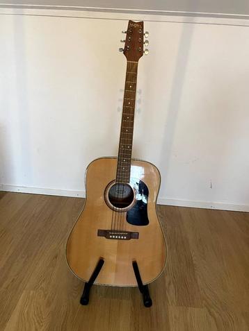 Washburn D10S beschikbaar voor biedingen