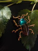 Kever broche, insecten speld, bug, bugs, insect, Sieraden, Tassen en Uiterlijk, Broches, Overige materialen, 4 tot 7 cm, Verzenden