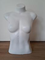 Mooie buste torso paspop, Ophalen of Verzenden, Gebruikt