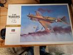 Hasegawa P-40E 1/32 + extra, Hasegawa, Ophalen of Verzenden, Zo goed als nieuw, Groter dan 1:72