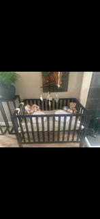 Zwarte tweeling box, Ophalen, Zo goed als nieuw, Ledikant