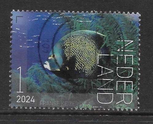 2024, Onderwater Bonaire, Franse Keizersvis [4207] (K0616), Postzegels en Munten, Postzegels | Nederland, Ophalen of Verzenden