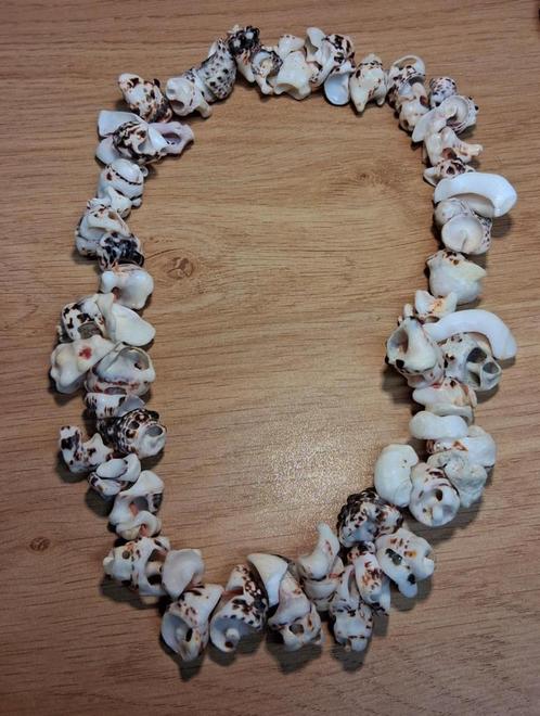 handgemaakte ketting schelpen, Sieraden, Tassen en Uiterlijk, Kettingen, Overige materialen, Ophalen of Verzenden