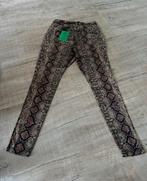 Broek My Pashion S, Kleding | Dames, Nieuw, Ophalen of Verzenden