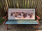 Cadeautip! Vogelvoederlijst Schotse Hooglanders, Ophalen, Nieuw