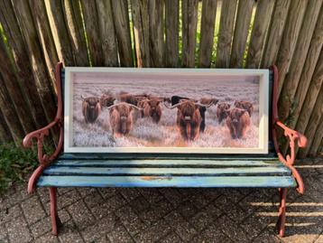Cadeautip! Vogelvoederlijst Schotse Hooglanders beschikbaar voor biedingen