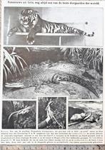 Artis 1917; fotonieuws 1 blz., Verzenden, Voor 1940, Gebruikt, Dier