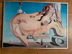 Salvador Dalí- The Great Masturbator, Antiek en Kunst, Ophalen