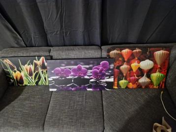 3 foto schilderijen. Alles in 1 koop beschikbaar voor biedingen