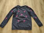 Prachtige blauwe trui met roze flamingo's, maat M. Sweater., Maat 38/40 (M), Blauw, Onb, Ophalen of Verzenden