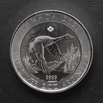 Canada Flying goose 2 oz zilver (2025), Verzenden, Zilver