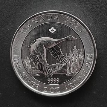 Canada Flying goose 2 oz zilver (2025) beschikbaar voor biedingen