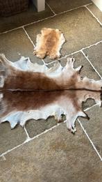 Dierenvellen, Ophalen of Verzenden, Zo goed als nieuw, Beeldje of Figuurtje