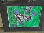 TEKENING VLINDER in PASSE-PARTOUT (nieuw), Huis en Inrichting, Minder dan 50 cm, Tekening, Nieuw, Ophalen of Verzenden