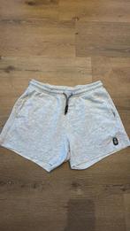 Grijze korte broek voor heren, Ophalen of Verzenden, Zo goed als nieuw, 55 Stage, Grijs