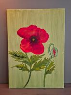 Olieverfschilderij Rode Papaver 50x70, Antiek en Kunst, Ophalen of Verzenden