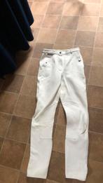 Witte wedstrijd broek van Eurostar, Dieren en Toebehoren, Paardrijkleding, Ophalen of Verzenden, Zo goed als nieuw, Dressuur, Onderkleding
