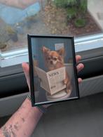 Chihuahua op WC - Ingelijste Poster, Minder dan 50 cm, Nieuw, Generic@email.com, Foto of Poster