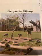 Ticket diergaarde Blijdorp, Eén persoon, Ticket of Toegangskaart