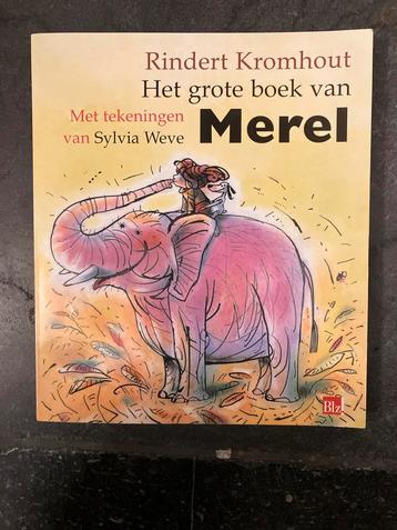 Het Grote Boek van Merel - Rindert Kromhout beschikbaar voor biedingen