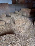 Stro, Dieren en Toebehoren, Ophalen of Verzenden, Vee
