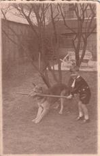 bruine  fotokaart -  jongen met  hond, Verzenden, Voor 1940, Kind