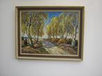 olieverf schilderij van --Schroeder-- 1897 -1972 Waldstuck, Antiek en Kunst, Ophalen of Verzenden