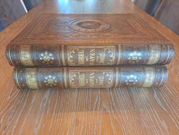 Schitterende originele Dore Bijbel 1870 200 gravures 2 delen beschikbaar voor biedingen