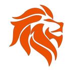 Oranje Neon Strijkembleem, Ophalen of Verzenden, Nieuw, Oranje of Koningsdag