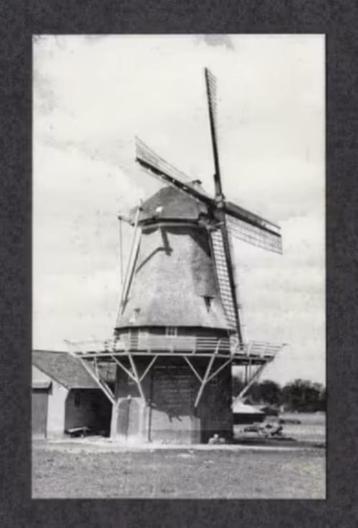 Fotokaart Zuidbarge Emmen Molen Zeldenrust. beschikbaar voor biedingen