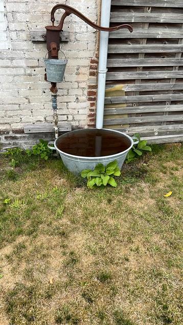 Zinken teilen per stuk beschikbaar voor biedingen