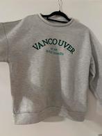 Sweater zacht, Ophalen of Verzenden, Zo goed als nieuw