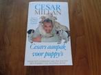 Cesars aanpak voor puppy's - Cesar Millan, Honden, Nieuw, Cesar Millan, Ophalen of Verzenden
