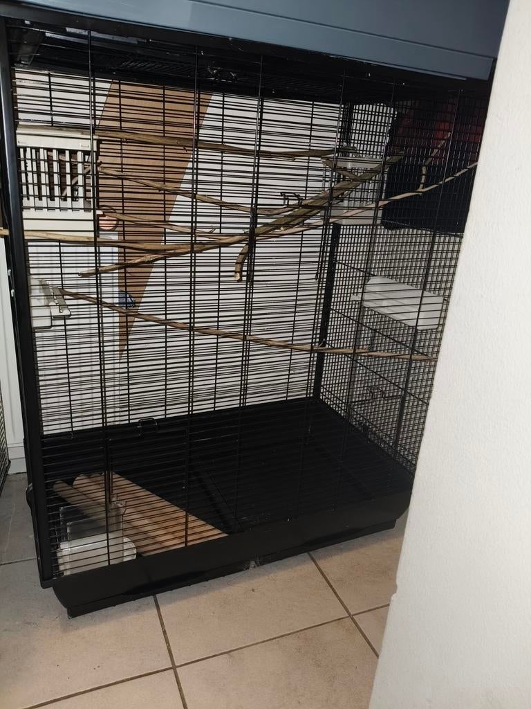 luxe voliere/ mega vogelkooi te koop! + toebehoren, Ophalen, Metaal, Vogelkooi