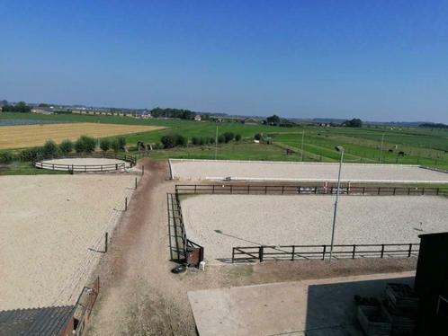 Per 1 april 3 stallen te huur, Dieren en Toebehoren, Stalling en Weidegang, Stalling, Weidegang, 1 paard of pony