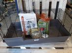 Voordelige ruime Konijnenkooi - Caviakooi - 3 maten, Ophalen of Verzenden, Nieuw, Kooi, Cavia